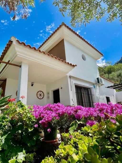 Casa La Roca Villa เอลกัสตอร์ ภายนอก รูปภาพ